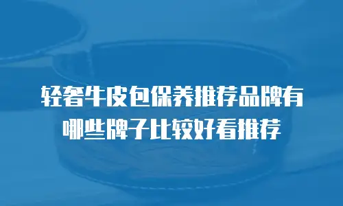 轻奢牛皮包保养推荐品牌有哪些牌子比较好看推荐