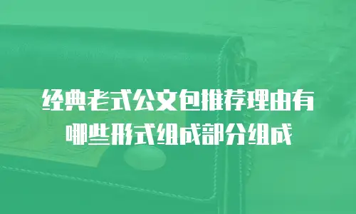经典老式公文包推荐理由有哪些形式组成部分组成