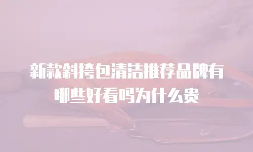新款斜挎包清洁推荐品牌有哪些好看吗为什么贵