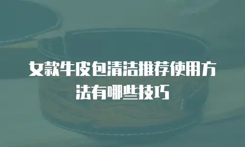 女款牛皮包清洁推荐使用方法有哪些技巧