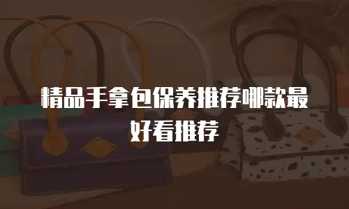 精品手拿包保养推荐哪款最好看推荐