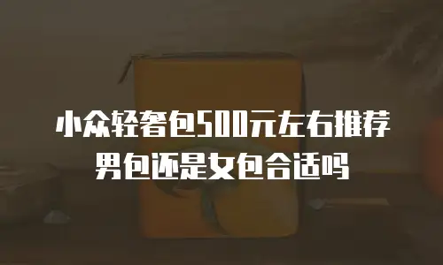 小众轻奢包500元左右推荐男包还是女包合适吗