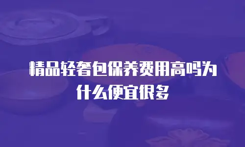 精品轻奢包保养费用高吗为什么便宜很多