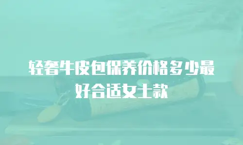 轻奢牛皮包保养价格多少最好合适女士款