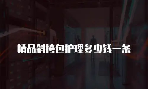 精品斜挎包护理多少钱一条