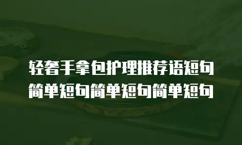 轻奢手拿包护理推荐语短句简单短句简单短句简单短句