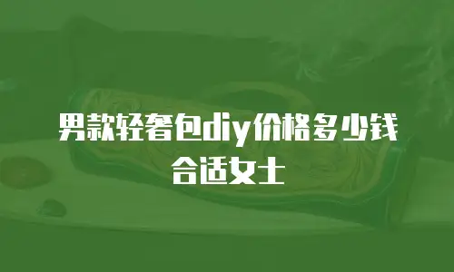 男款轻奢包diy价格多少钱合适女士