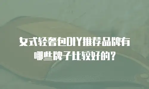 女式轻奢包DIY推荐品牌有哪些牌子比较好的？