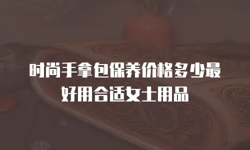 时尚手拿包保养价格多少最好用合适女士用品