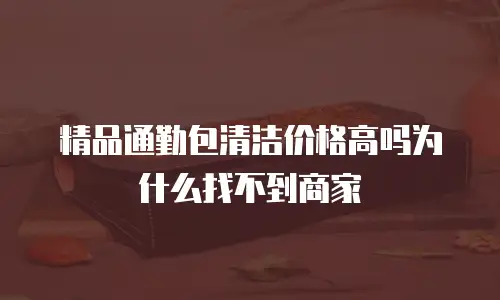精品通勤包清洁价格高吗为什么找不到商家