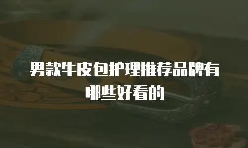 男款牛皮包护理推荐品牌有哪些好看的
