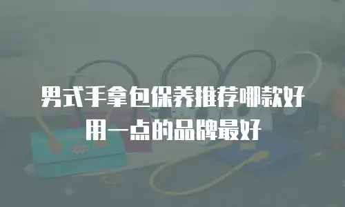 男式手拿包保养推荐哪款好用一点的品牌最好