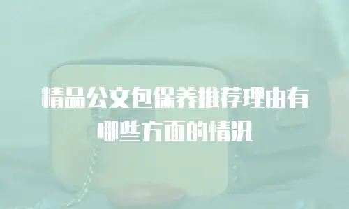 精品公文包保养推荐理由有哪些方面的情况