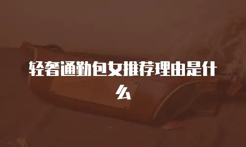 轻奢通勤包女推荐理由是什么