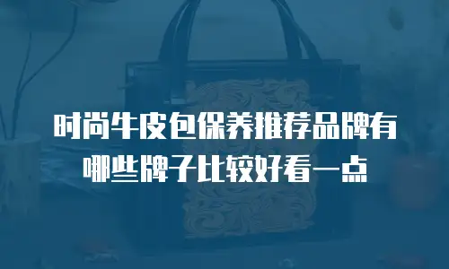 时尚牛皮包保养推荐品牌有哪些牌子比较好看一点