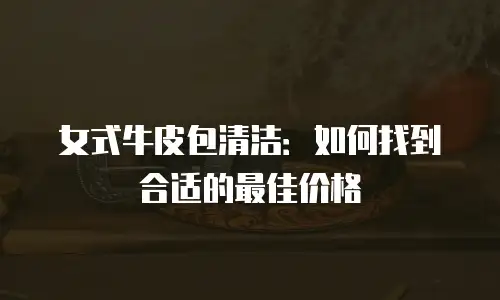 女式牛皮包清洁：如何找到合适的最佳价格