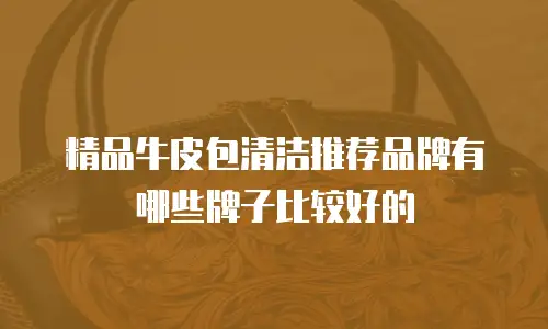 精品牛皮包清洁推荐品牌有哪些牌子比较好的