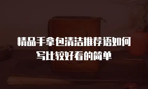 精品手拿包清洁推荐语如何写比较好看的简单