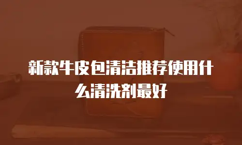 新款牛皮包清洁推荐使用什么清洗剂最好