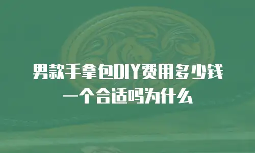 男款手拿包DIY费用多少钱一个合适吗为什么