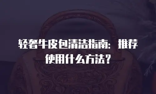 轻奢牛皮包清洁指南：推荐使用什么方法？