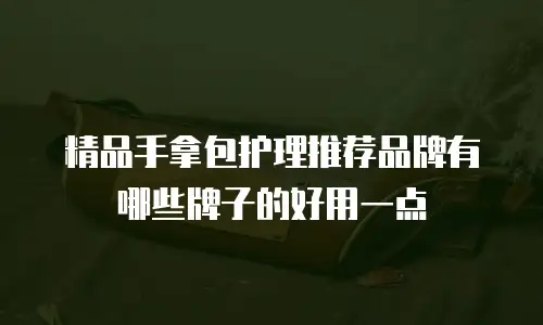 精品手拿包护理推荐品牌有哪些牌子的好用一点