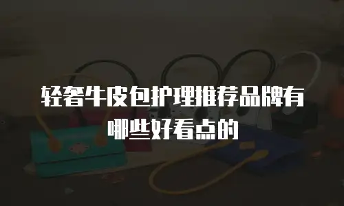 轻奢牛皮包护理推荐品牌有哪些好看点的
