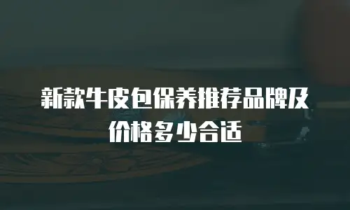 新款牛皮包保养推荐品牌及价格多少合适
