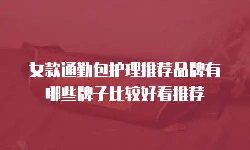 女款通勤包护理推荐品牌有哪些牌子比较好看推荐