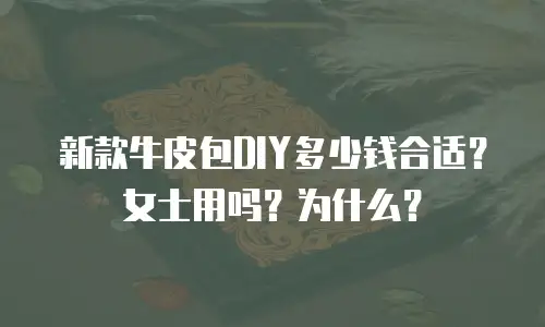 新款牛皮包DIY多少钱合适？女士用吗？为什么？