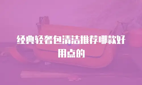 经典轻奢包清洁推荐哪款好用点的