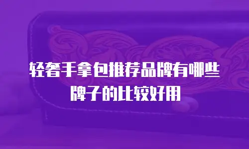 轻奢手拿包推荐品牌有哪些牌子的比较好用