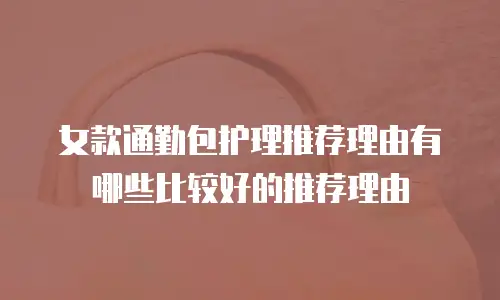 女款通勤包护理推荐理由有哪些比较好的推荐理由