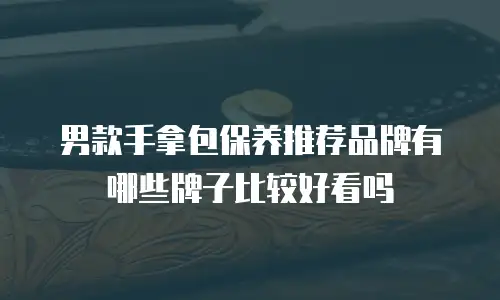男款手拿包保养推荐品牌有哪些牌子比较好看吗