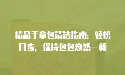 精品手拿包清洁指南：轻松几步，保持包包焕然一新