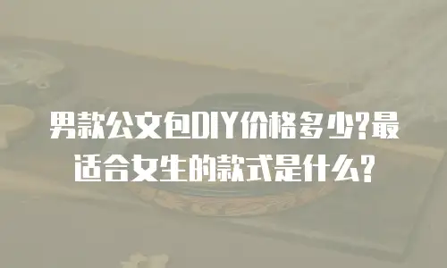 男款公文包DIY价格多少?最适合女生的款式是什么?