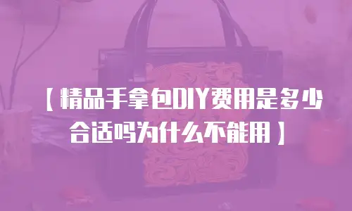 【精品手拿包DIY费用是多少合适吗为什么不能用】