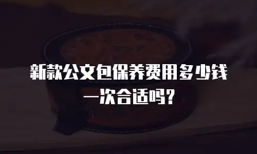 新款公文包保养费用多少钱一次合适吗？