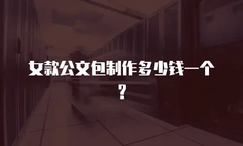  女款公文包制作多少钱一个?