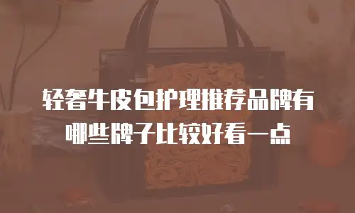 轻奢牛皮包护理推荐品牌有哪些牌子比较好看一点