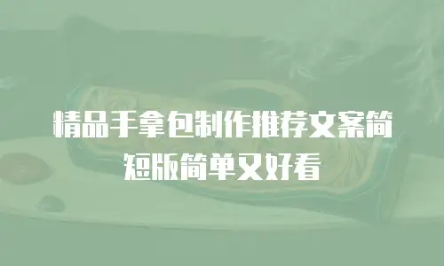 精品手拿包制作推荐文案简短版简单又好看