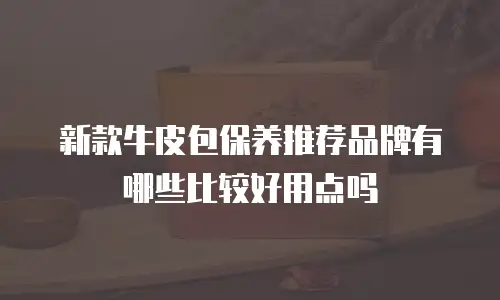 新款牛皮包保养推荐品牌有哪些比较好用点吗