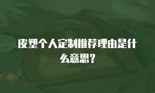 皮塑个人定制推荐理由是什么意思？