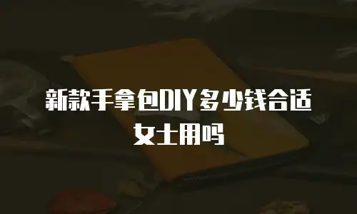新款手拿包DIY多少钱合适女士用吗