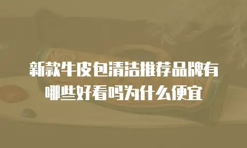 新款牛皮包清洁推荐品牌有哪些好看吗为什么便宜