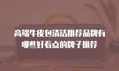 高端牛皮包清洁推荐品牌有哪些好看点的牌子推荐