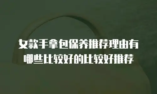 女款手拿包保养推荐理由有哪些比较好的比较好推荐