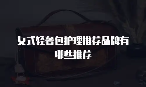 女式轻奢包护理推荐品牌有哪些推荐