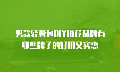 男款轻奢包DIY推荐品牌有哪些牌子的好用又实惠