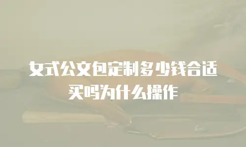 女式公文包定制多少钱合适买吗为什么操作